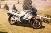 Suzuki_RG_500_Gamma_1985