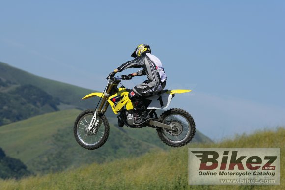 Suzuki RM 250