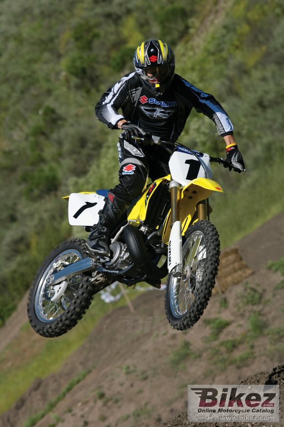 Suzuki RM 250