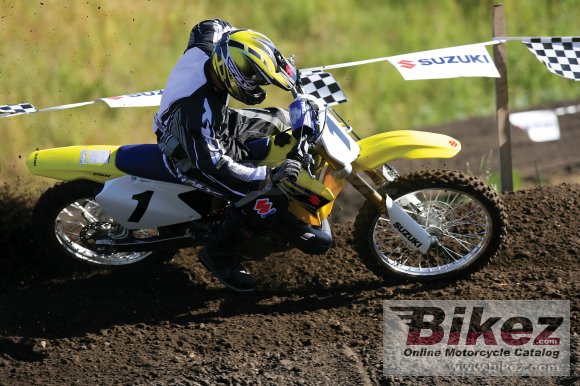 Suzuki RM 250