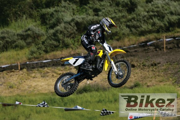 Suzuki RM 85 L