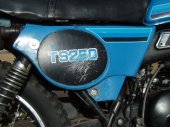 Suzuki_TS_250_ER_1981