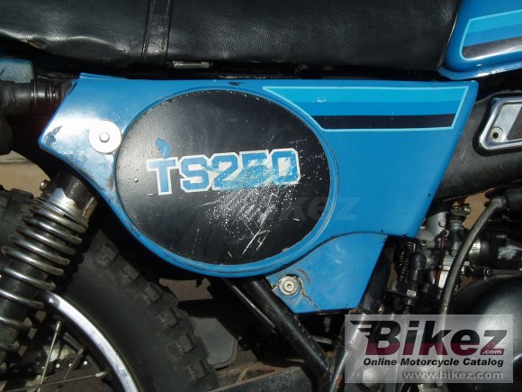 Suzuki TS 250 ER