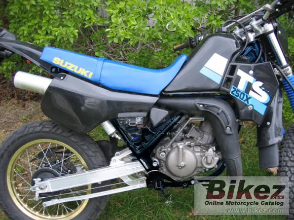 Suzuki TS 250 X