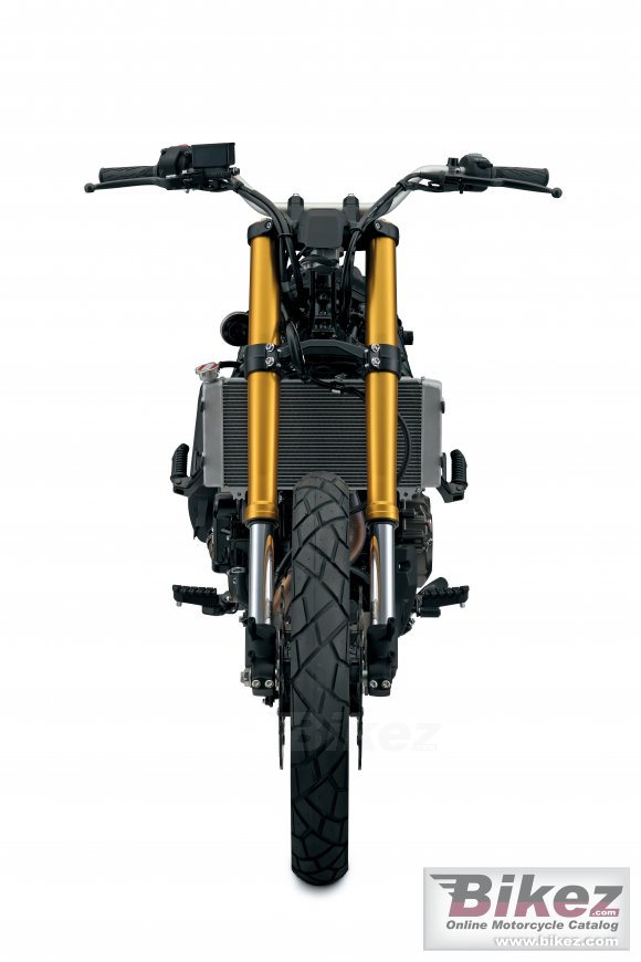 Suzuki V-Strom 800DE