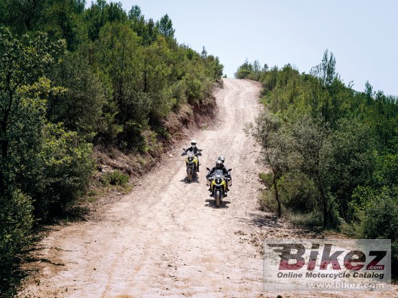 Suzuki V-Strom 800DE