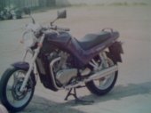 Suzuki_VX_800_1994