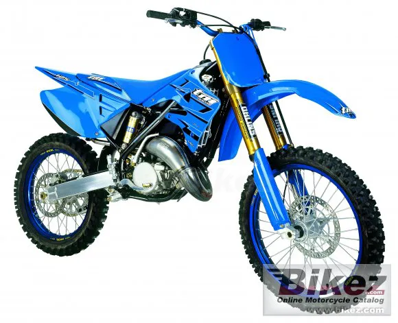 TM Racing MX 125