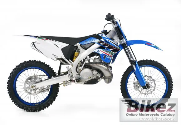 TM Racing MX 250