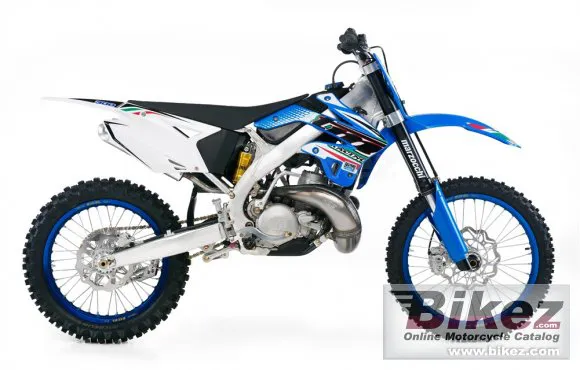 TM Racing MX 300