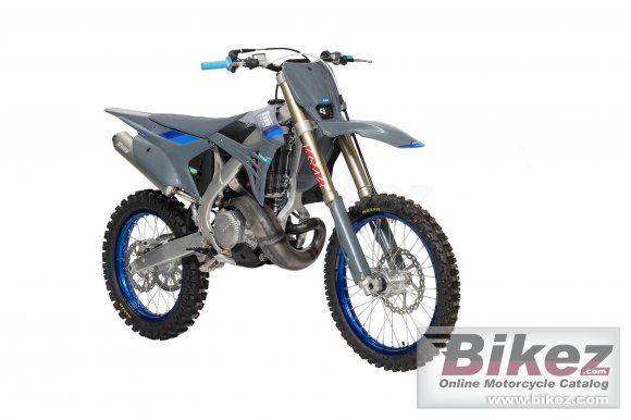 TM Racing MX 300 ES 2T