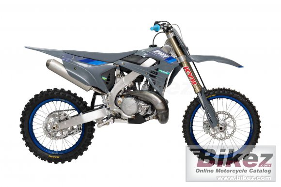 TM Racing MX 300 ES 2T