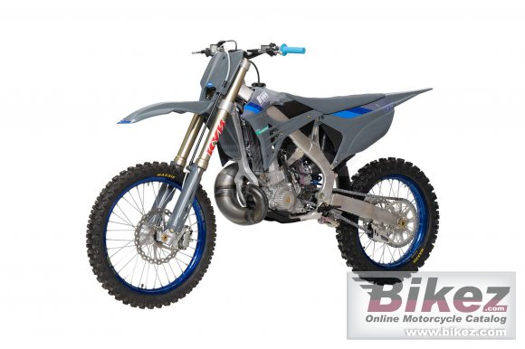 TM Racing MX 300 ES 2T