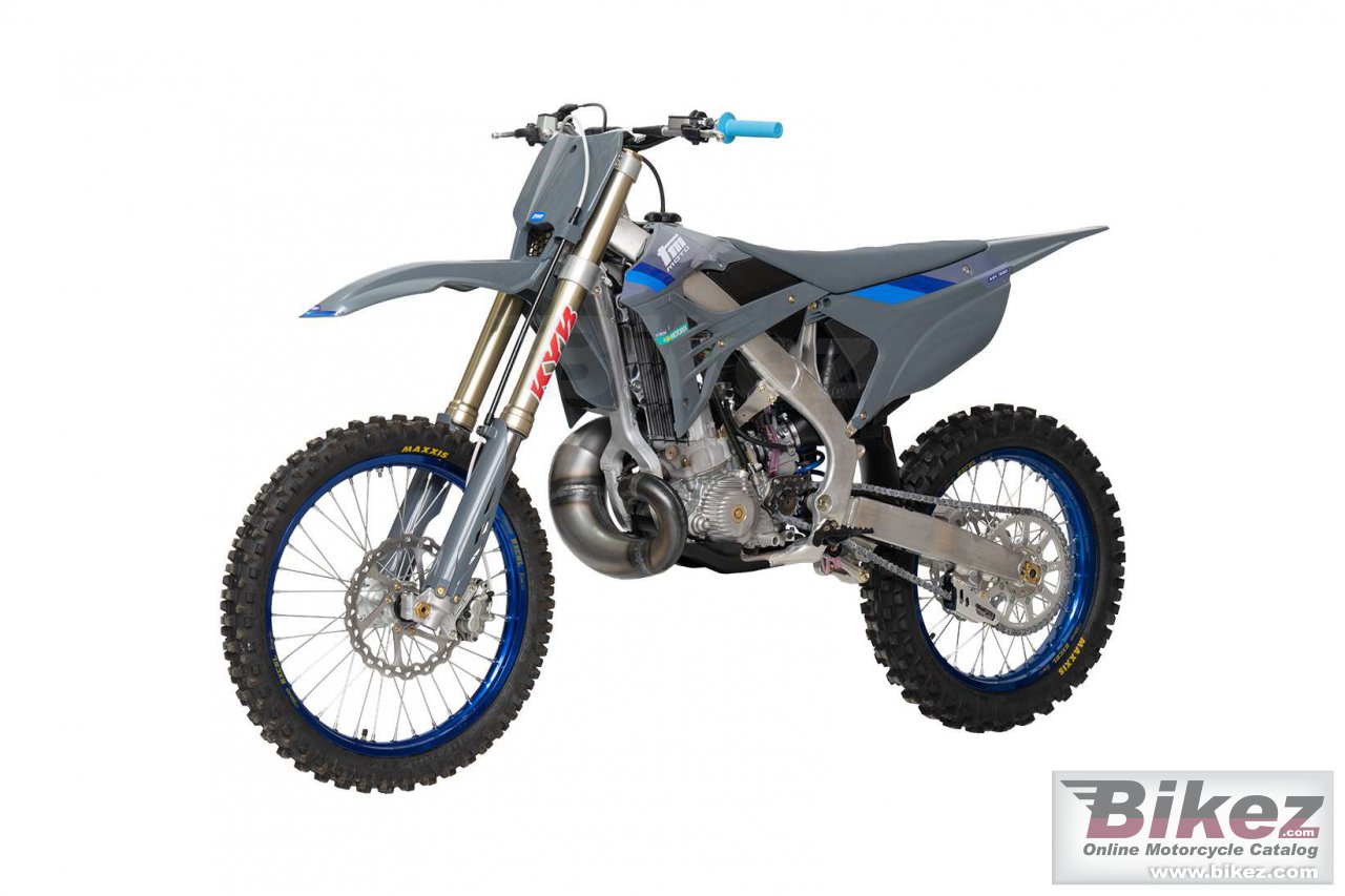 TM Racing MX 300 ES 2T