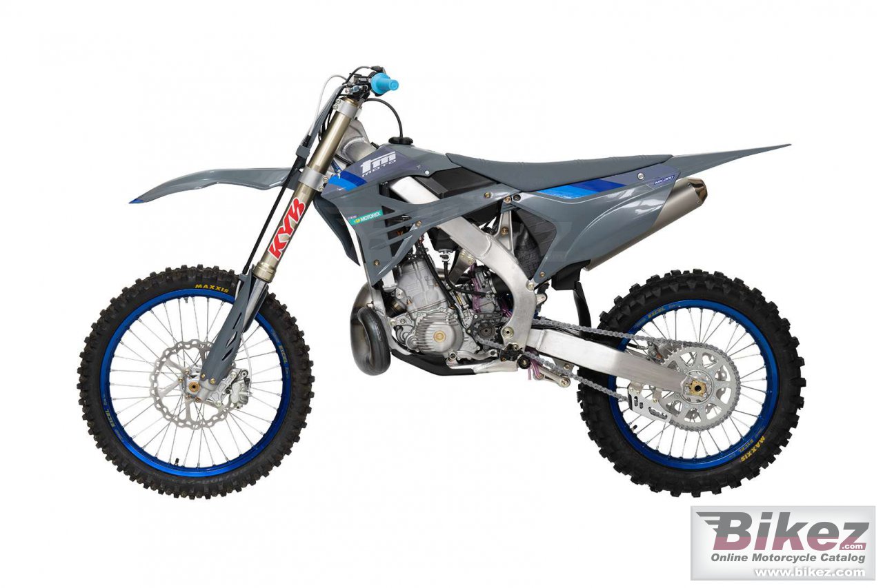 TM Racing MX 300 ES 2T