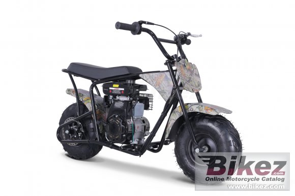 Tao Motor DB100