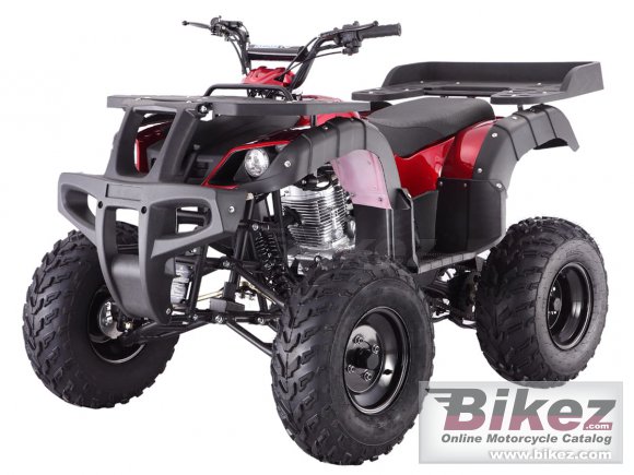 Tao Motor Rhino 250