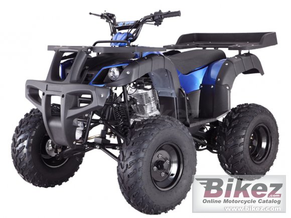 Tao Motor Rhino 250