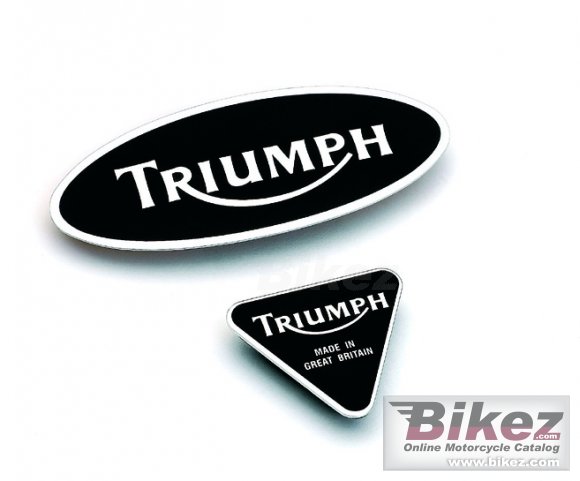 Triumph America