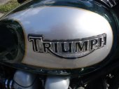 Triumph America