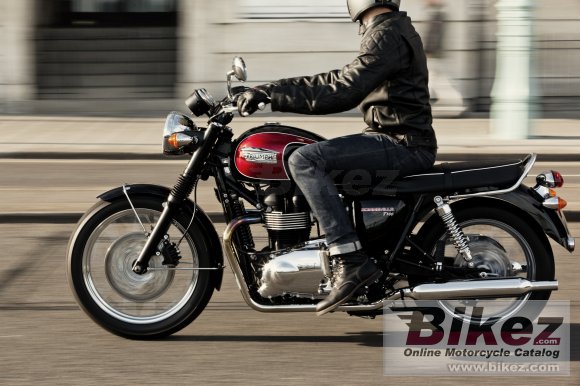 Triumph Bonneville T100