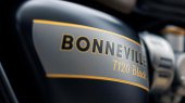 Triumph Bonneville T120 Black Gold Line