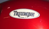 Triumph_Legend_TT_1999