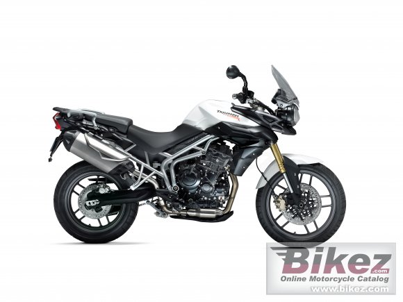 Triumph New Tiger 800