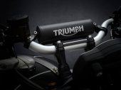 Triumph Scrambler 1200 Steve Mcqueen