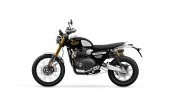 Triumph_Scrambler_1200_XE_Icon_Edition_2025