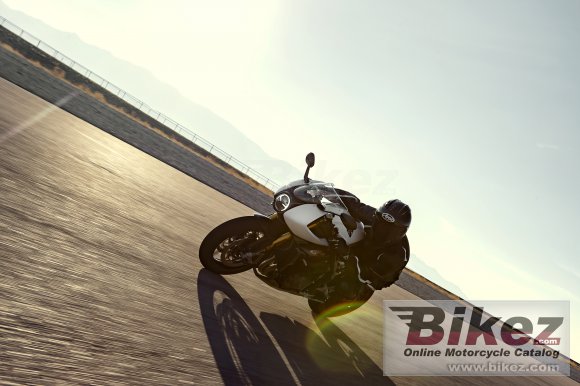 Triumph Speed Triple 1200 RR