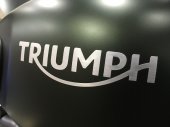 Triumph_Street_Scrambler_2017