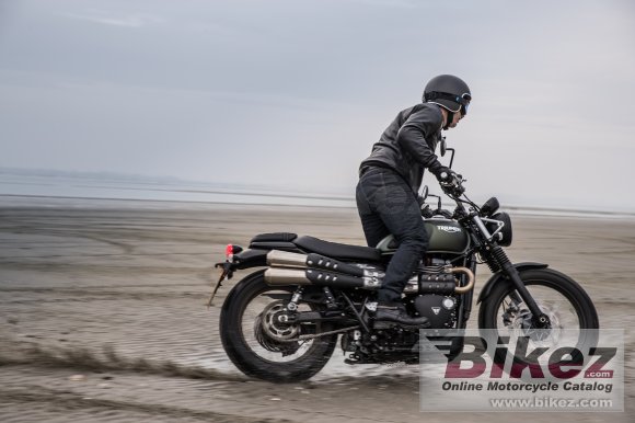 Triumph Street Scrambler