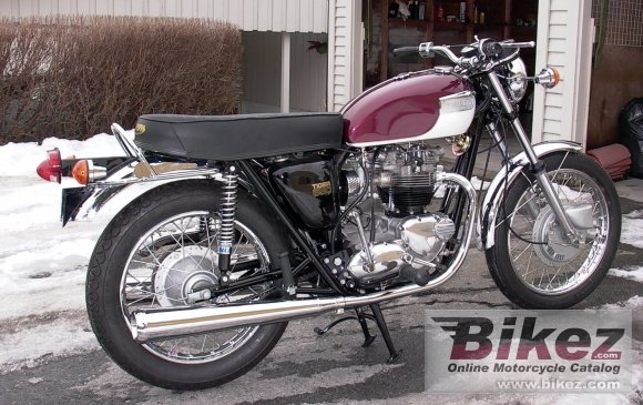 Triumph TR 6 R Tiger 650