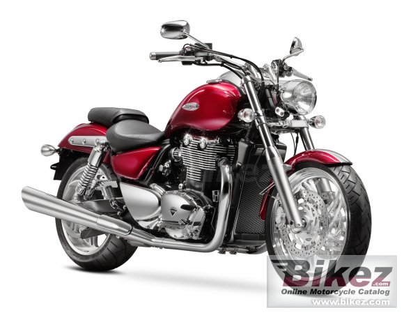 Triumph Thunderbird