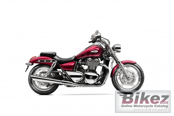 Triumph Thunderbird