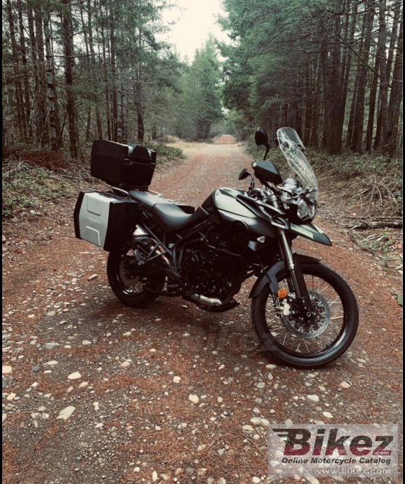 Triumph Tiger 800 XC