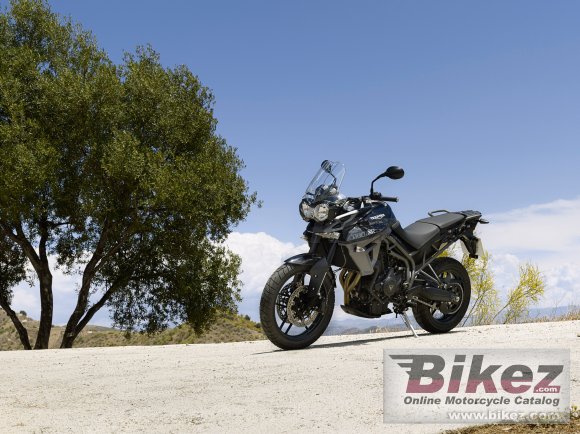 Triumph Tiger 800 XR