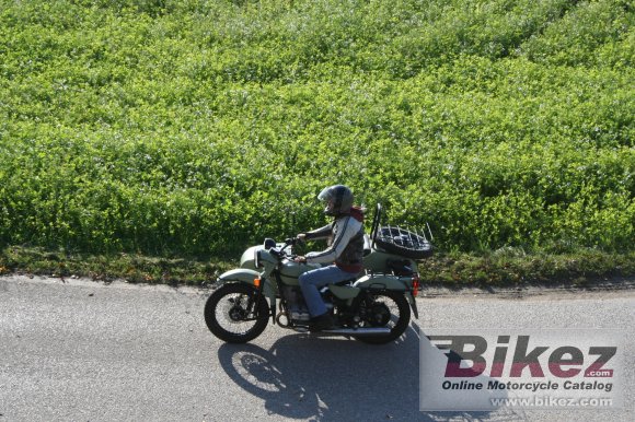 Ural Ranger Frog