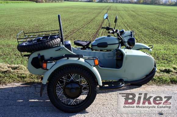 Ural Ranger Frog