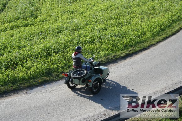 Ural Ranger Frog