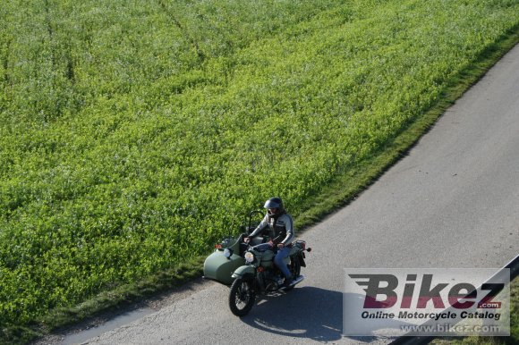 Ural Ranger Frog