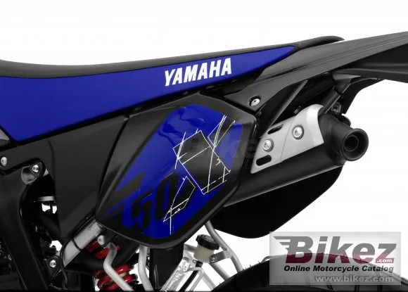 Yamaha DT50X