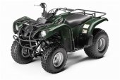 Yamaha_Grizzly_125_Automatic_2009