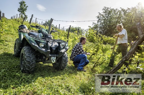 Yamaha Grizzly 450 IRS