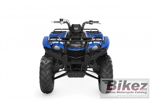 Yamaha Kodiak 450