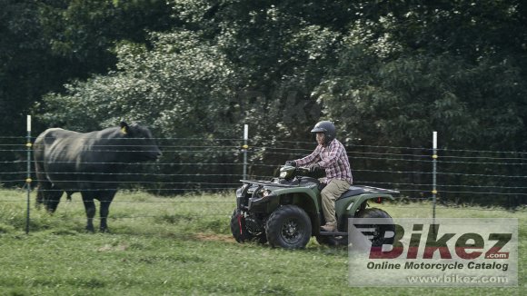 Yamaha Kodiak 450 EPS DL