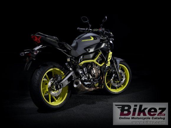 Yamaha MT-07 Moto Cage