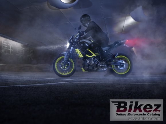 Yamaha MT-07 Moto Cage