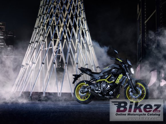 Yamaha MT-07 Moto Cage